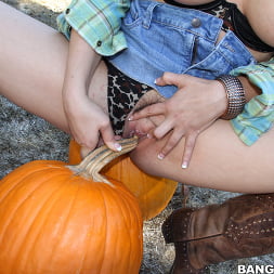 Pumpkin Patch Fucking