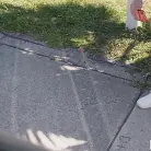 Vanessa Arizona in 'Iron Swinger'