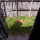 Vickie Starxxx in 'Giant Black Booty Rides The Bus'