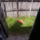 Vickie Starxxx in 'Giant Black Booty Rides The Bus'