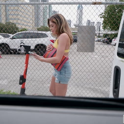 Anal Transportation